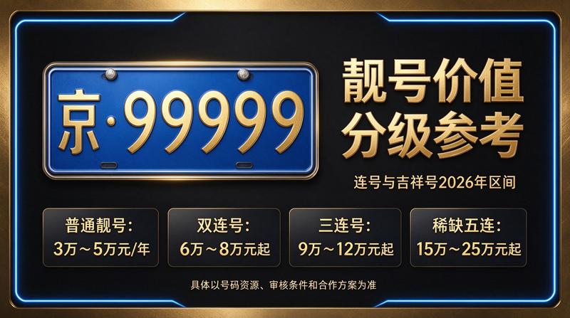 北京小牛京牌服务团队与商务车辆展示